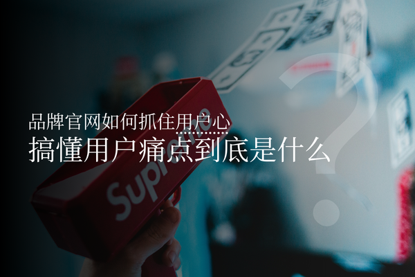 品牌官网如何抓住用户心，搞懂用户痛点到底是什么？