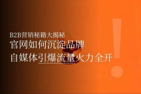 B2B营销秘籍大揭秘：官网如何沉淀品牌，自媒体引爆流量火力全开