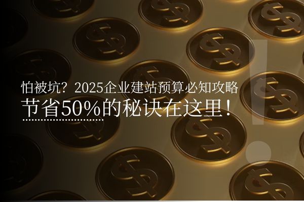 怕被坑？2025企业建站预算必知攻略，节省50%的秘诀在这里！