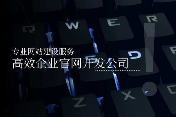 专业网站建设服务-高效企业官网开发公司